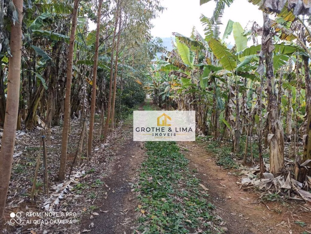 Farm of 647 acres in Silveiras, SP, Brazil