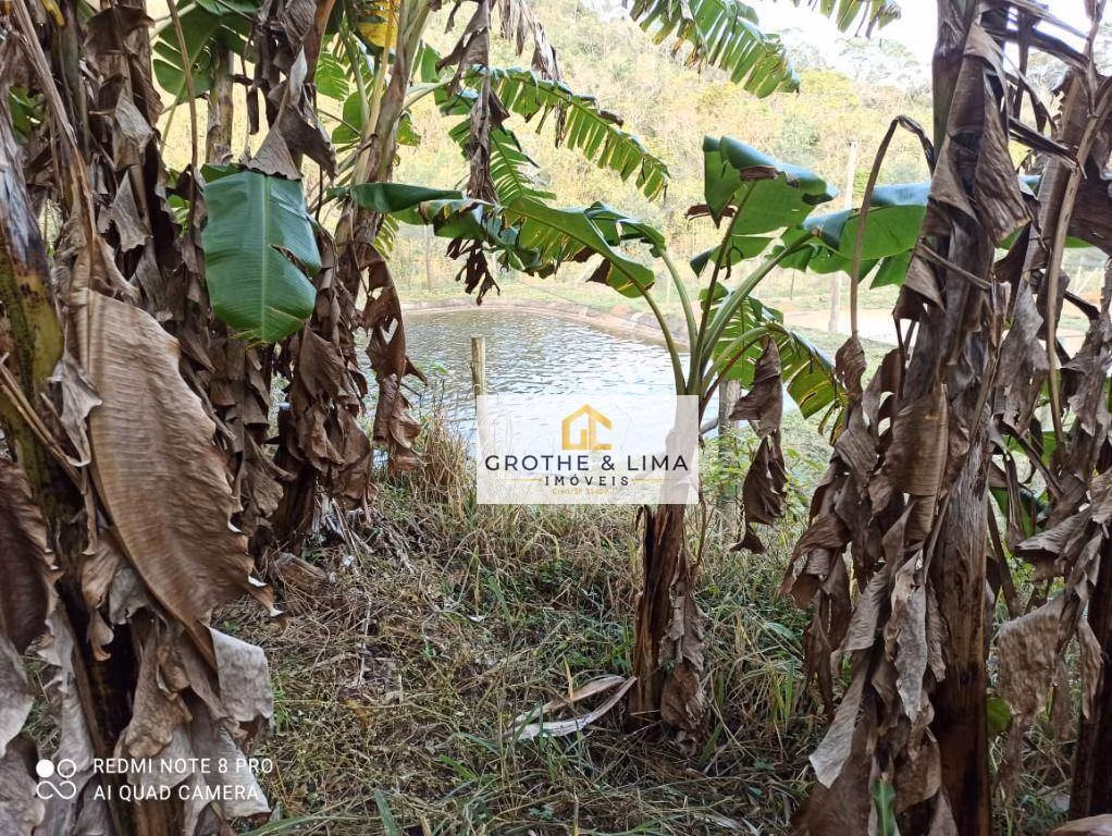 Farm of 647 acres in Silveiras, SP, Brazil