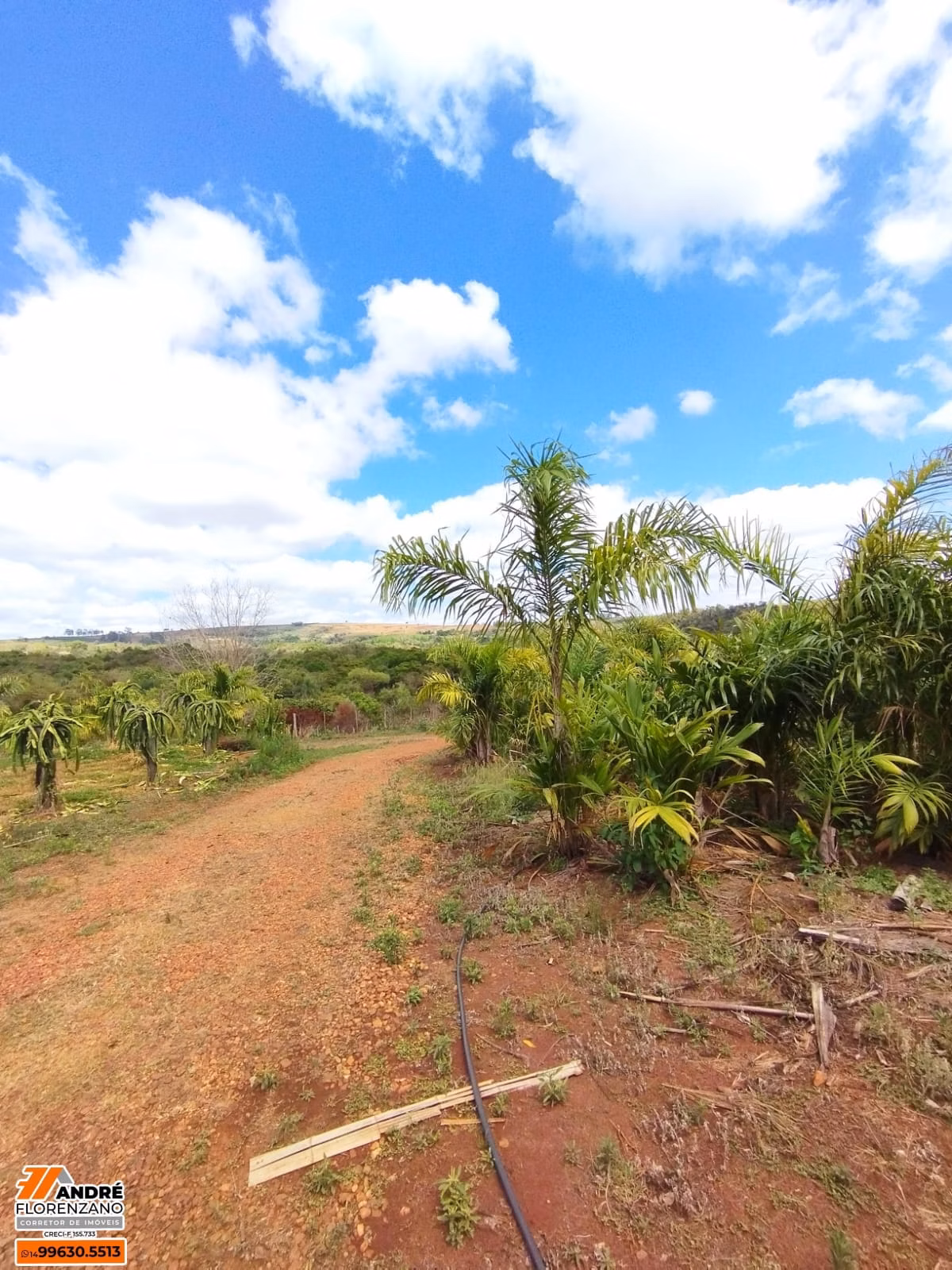 位于 SP Piraju 的 25,000 m² 乡间别墅