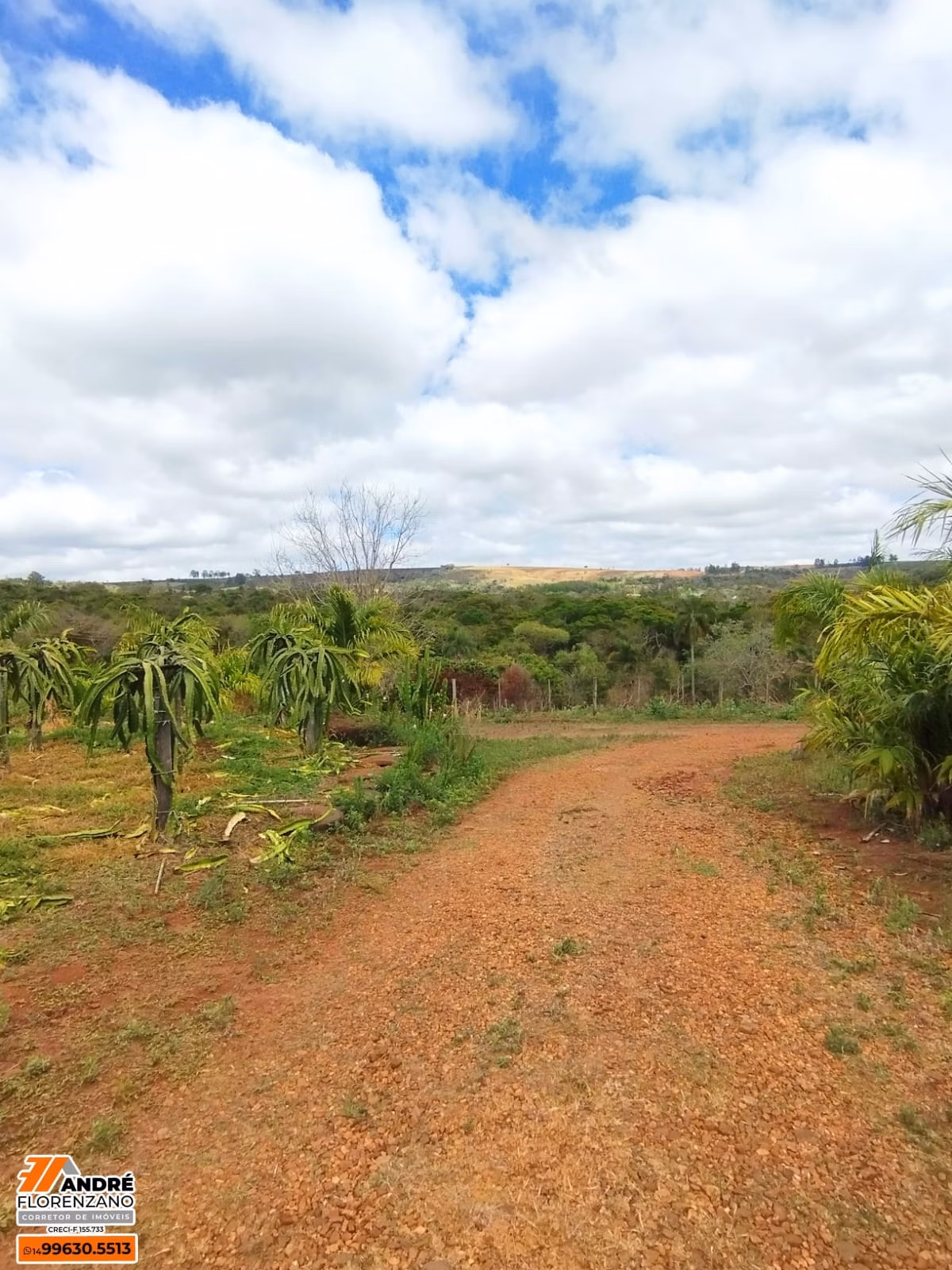 位于 SP Piraju 的 25,000 m² 乡间别墅