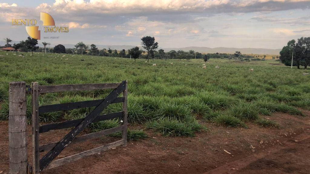 Fazenda de 105 ha em Cuiabá, MT