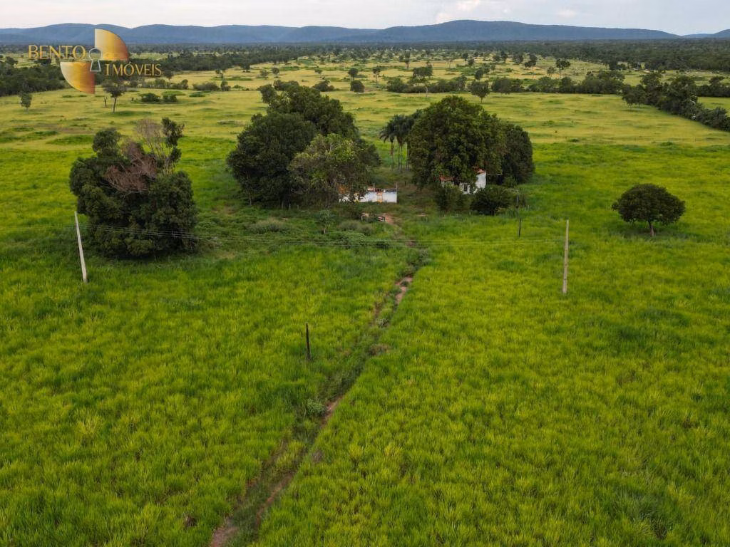 Fazenda de 105 ha em Cuiabá, MT