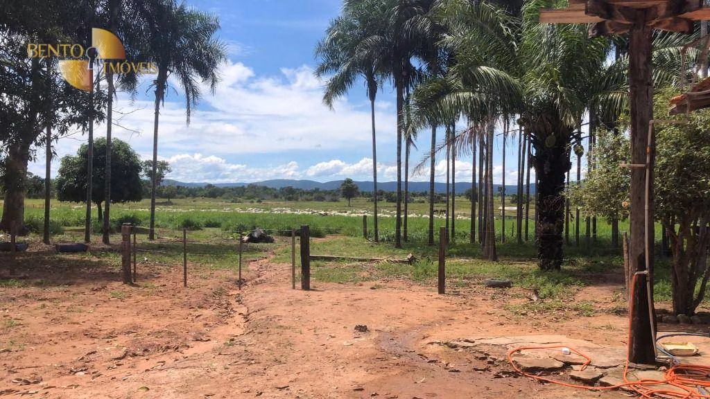 Fazenda de 105 ha em Cuiabá, MT