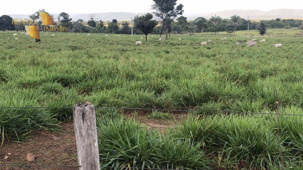 Fazenda de 105 ha em Cuiabá, MT
