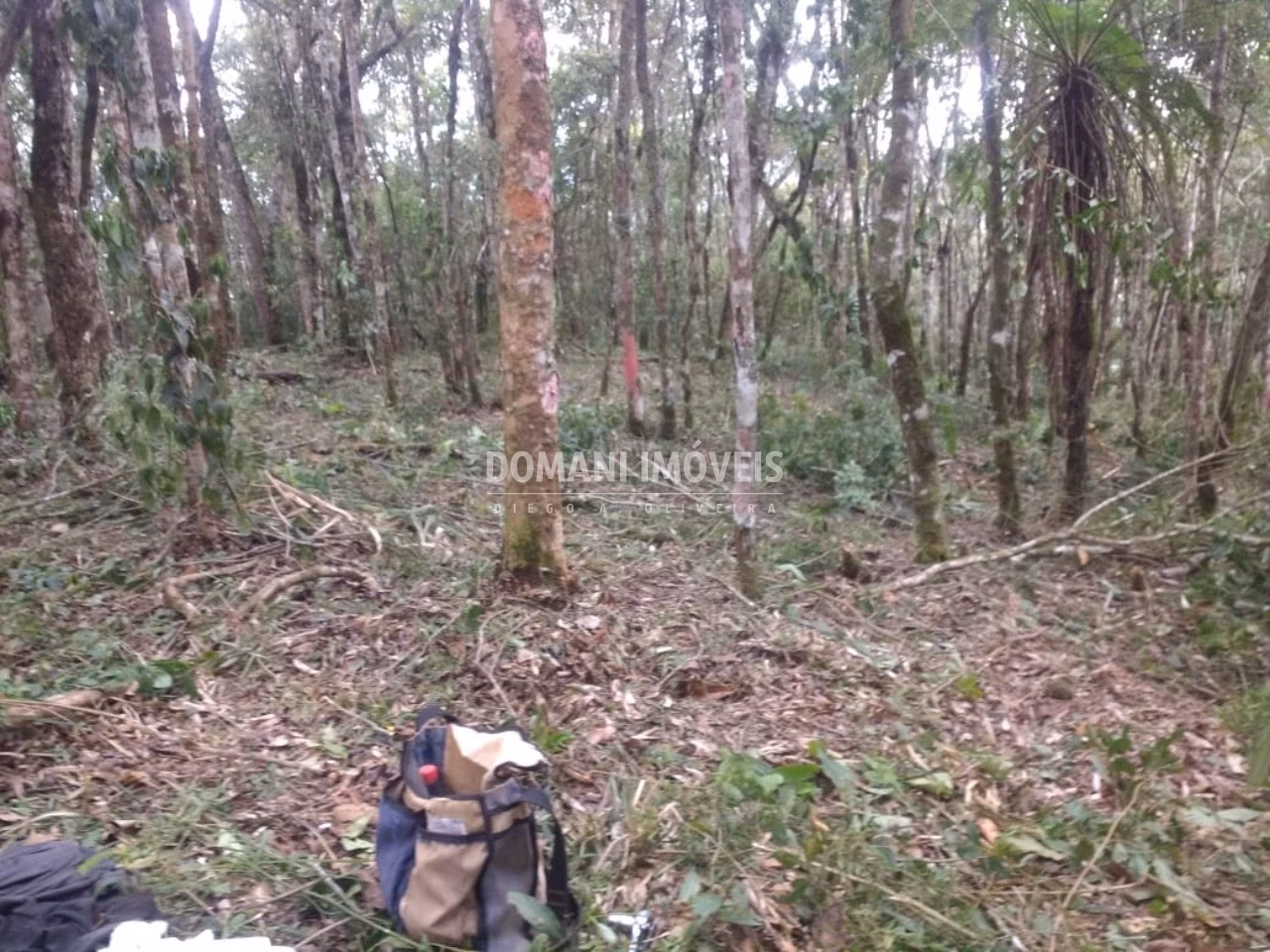 Plot of 1 acres in Campos do Jordão, SP, Brazil