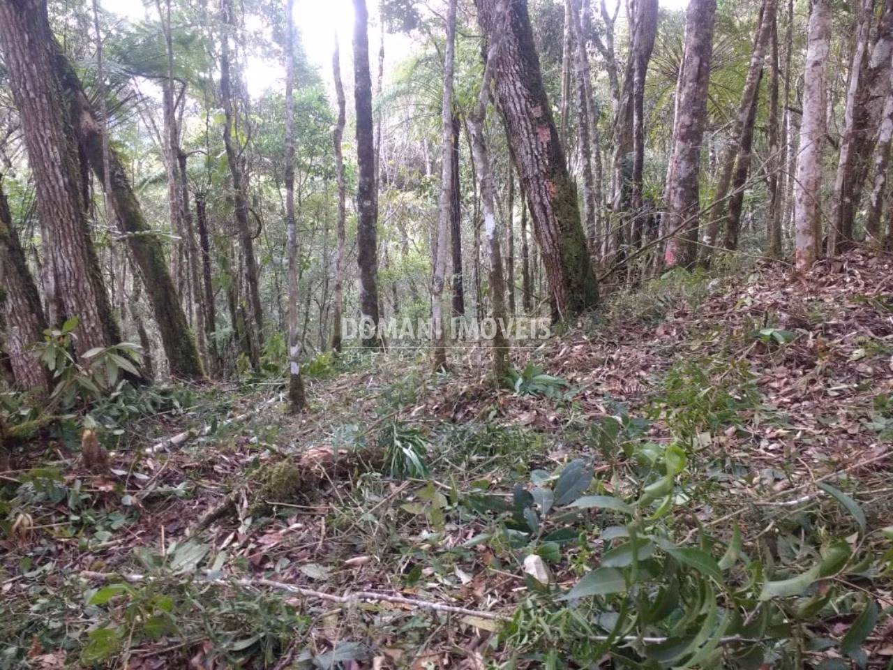 Plot of 1 acres in Campos do Jordão, SP, Brazil
