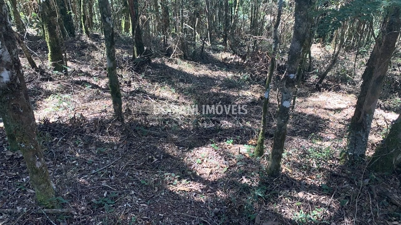Plot of 1 acres in Campos do Jordão, SP, Brazil