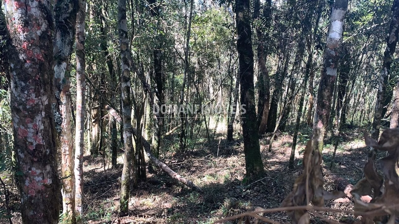 Plot of 1 acres in Campos do Jordão, SP, Brazil
