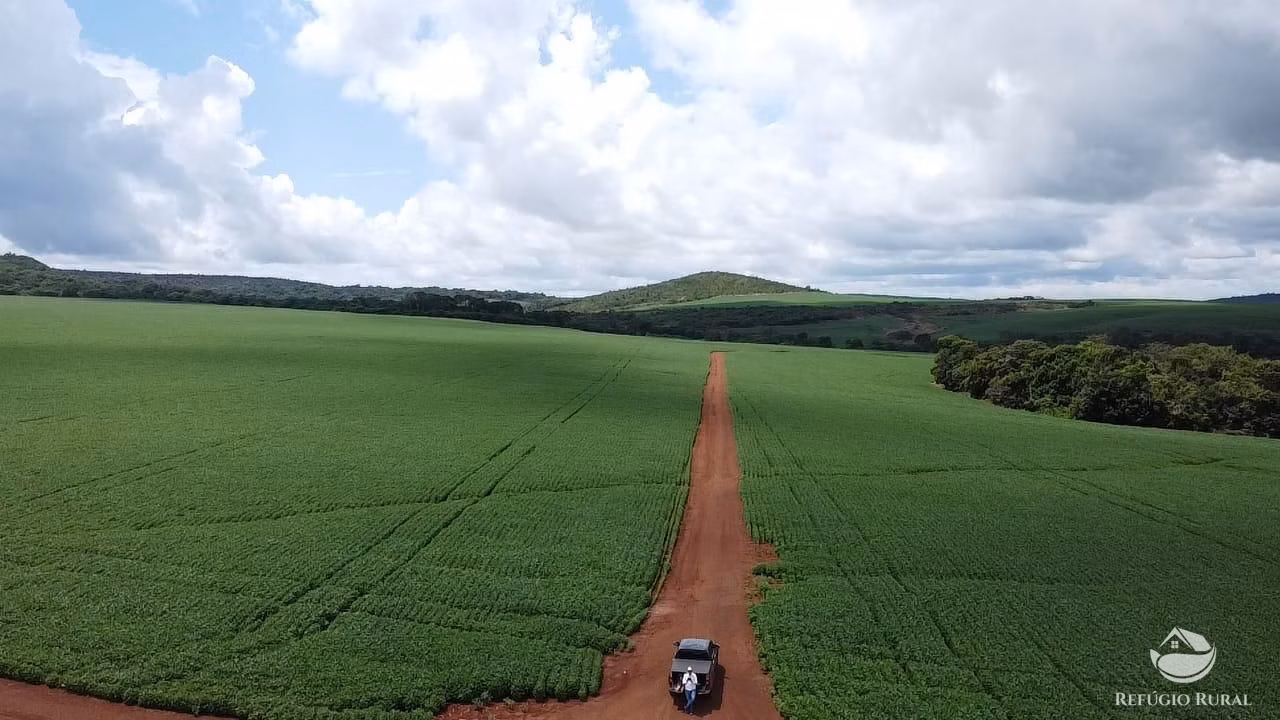 Fazenda de 1.349 ha em Primavera do Leste, MT