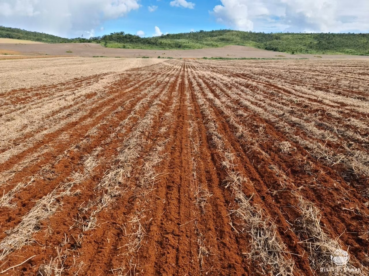 Fazenda de 1.349 ha em Primavera do Leste, MT