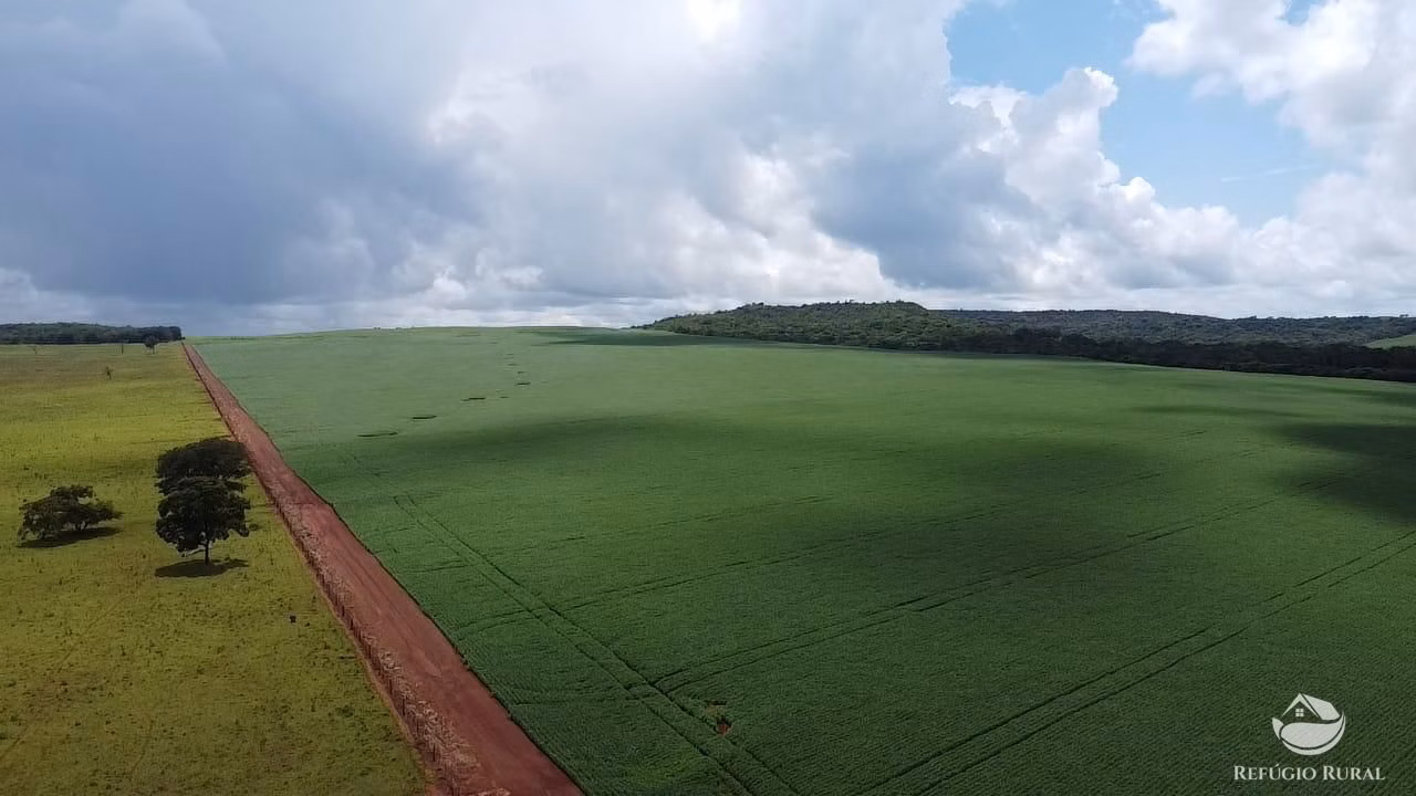 Fazenda de 1.349 ha em Primavera do Leste, MT