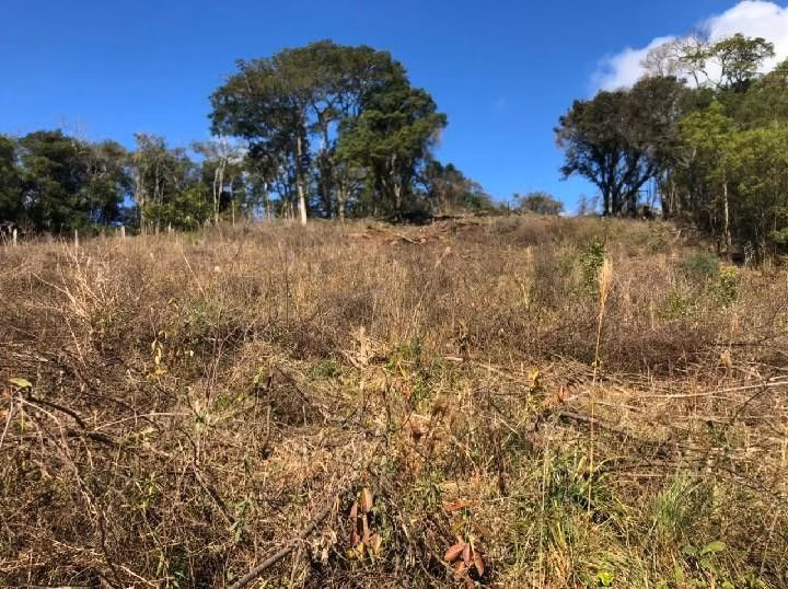 Chácara de 4 ha em Santo Antônio da Patrulha, RS