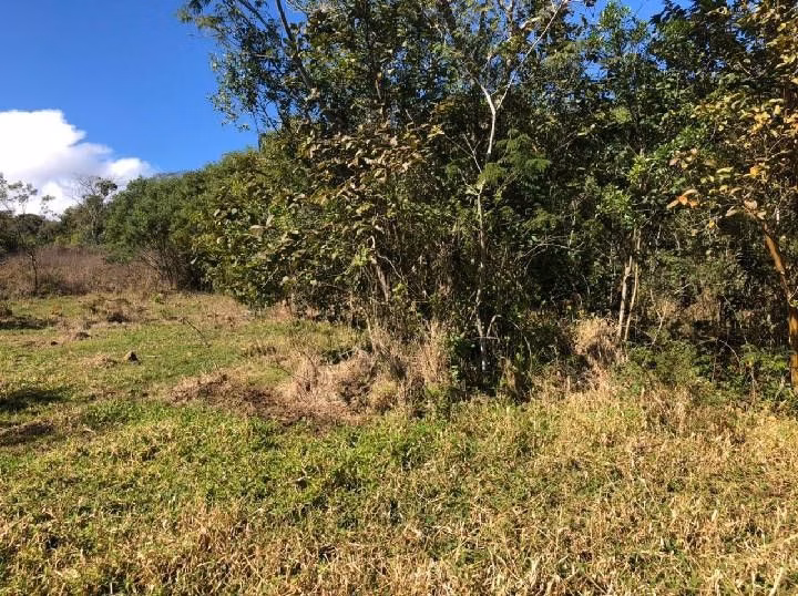 Country home of 9 acres in Santo Antônio da Patrulha, RS, Brazil