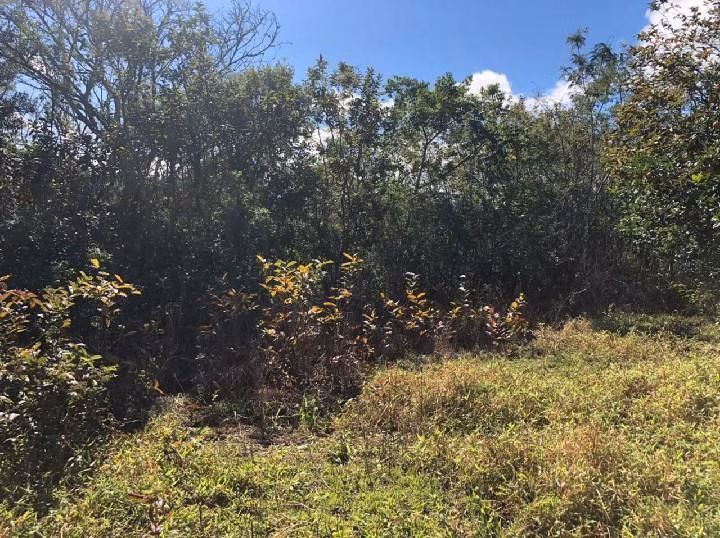 Country home of 9 acres in Santo Antônio da Patrulha, RS, Brazil