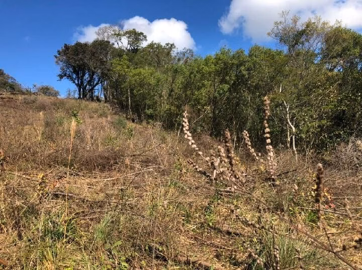 Country home of 9 acres in Santo Antônio da Patrulha, RS, Brazil