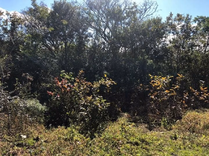 Country home of 9 acres in Santo Antônio da Patrulha, RS, Brazil