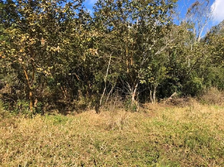 Country home of 9 acres in Santo Antônio da Patrulha, RS, Brazil