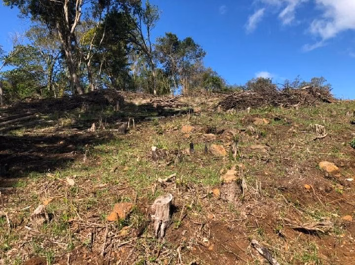 Chácara de 4 ha em Santo Antônio da Patrulha, RS