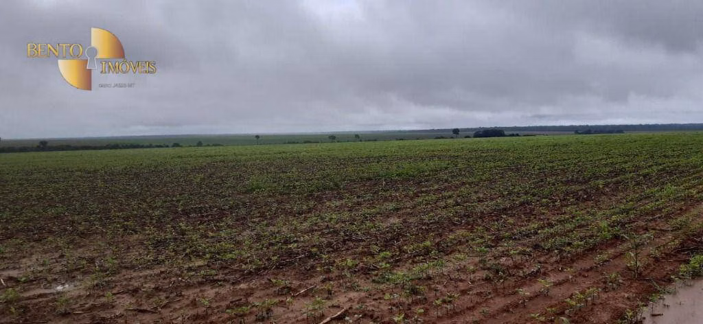 Fazenda de 5.080 ha em Itaúba, MT
