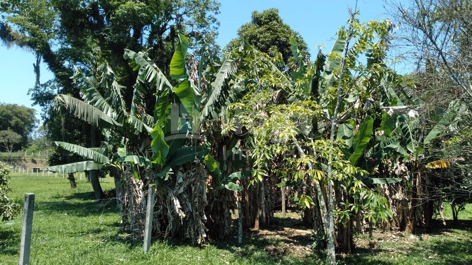 Chácara de 6.309 m² em Gaspar, SC