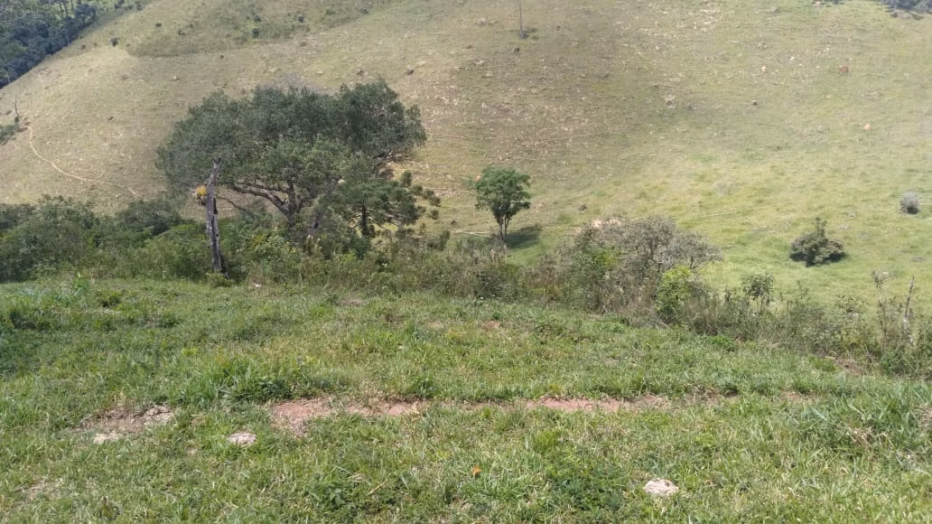 Farm of 2,362 acres in Itajubá, MG, Brazil