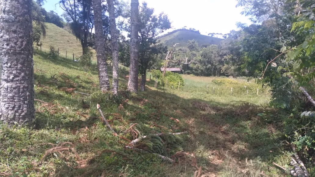 Farm of 2,362 acres in Itajubá, MG, Brazil