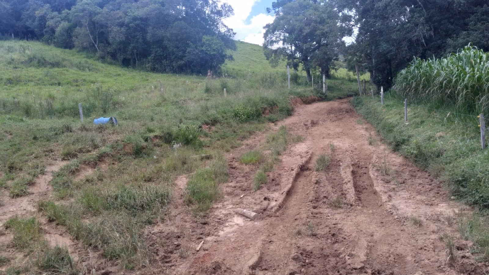 Farm of 2,362 acres in Itajubá, MG, Brazil