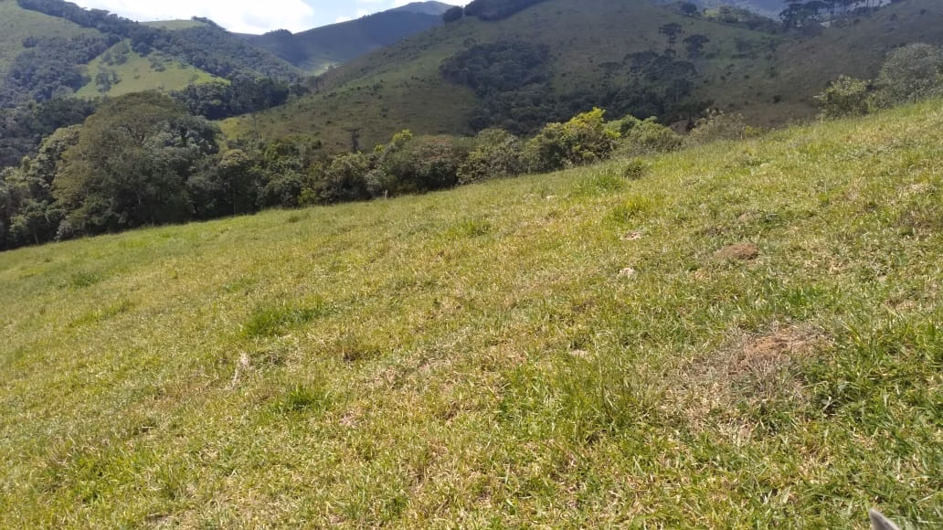 Farm of 2,362 acres in Itajubá, MG, Brazil
