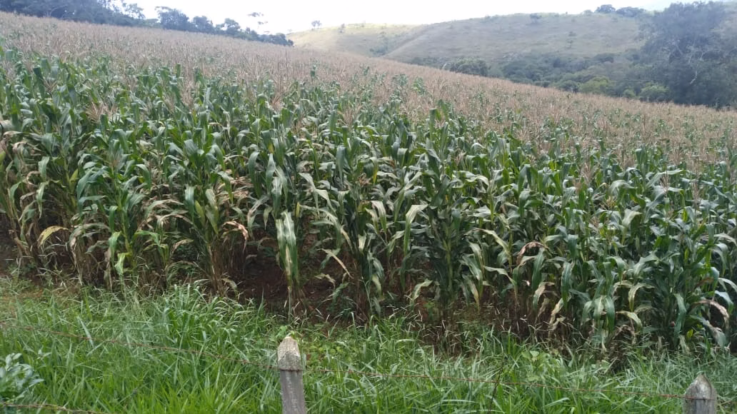 Farm of 2,362 acres in Itajubá, MG, Brazil