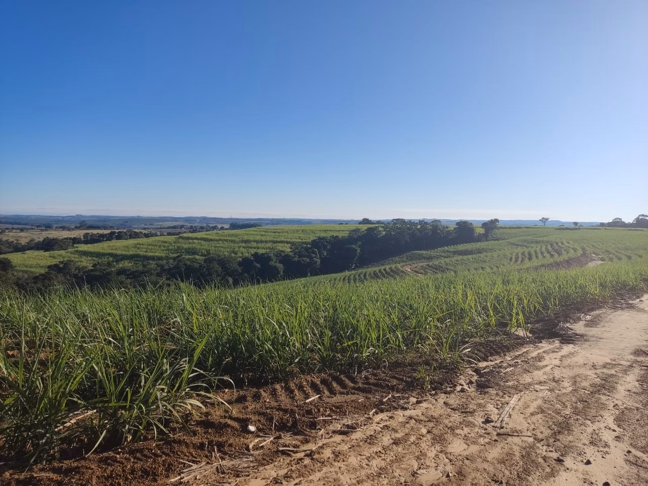 Fazenda de 288 ha em Capela do Alto, SP