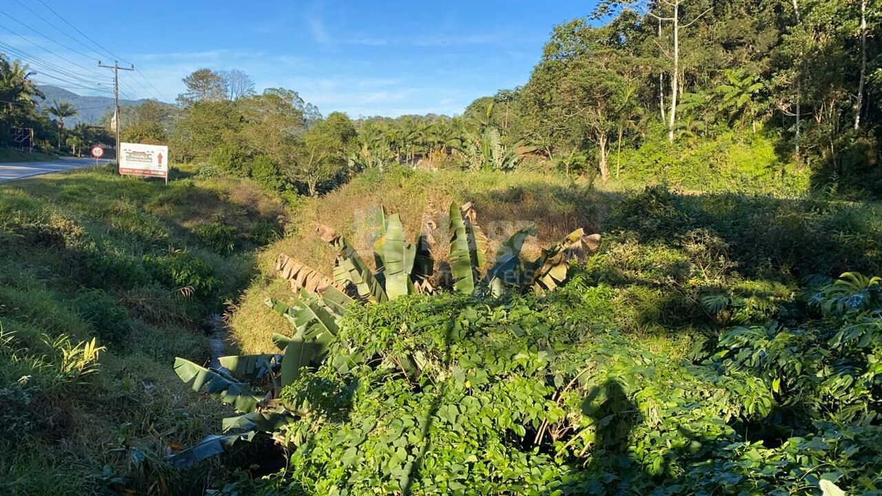 Terreno de 2 ha em Nova Trento, SC