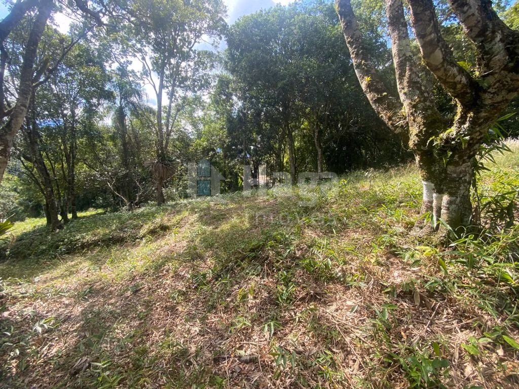 Fazenda de 1 ha em São João Batista, SC