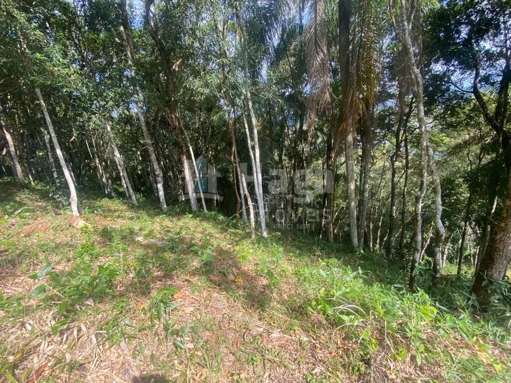 Fazenda de 1 ha em São João Batista, SC