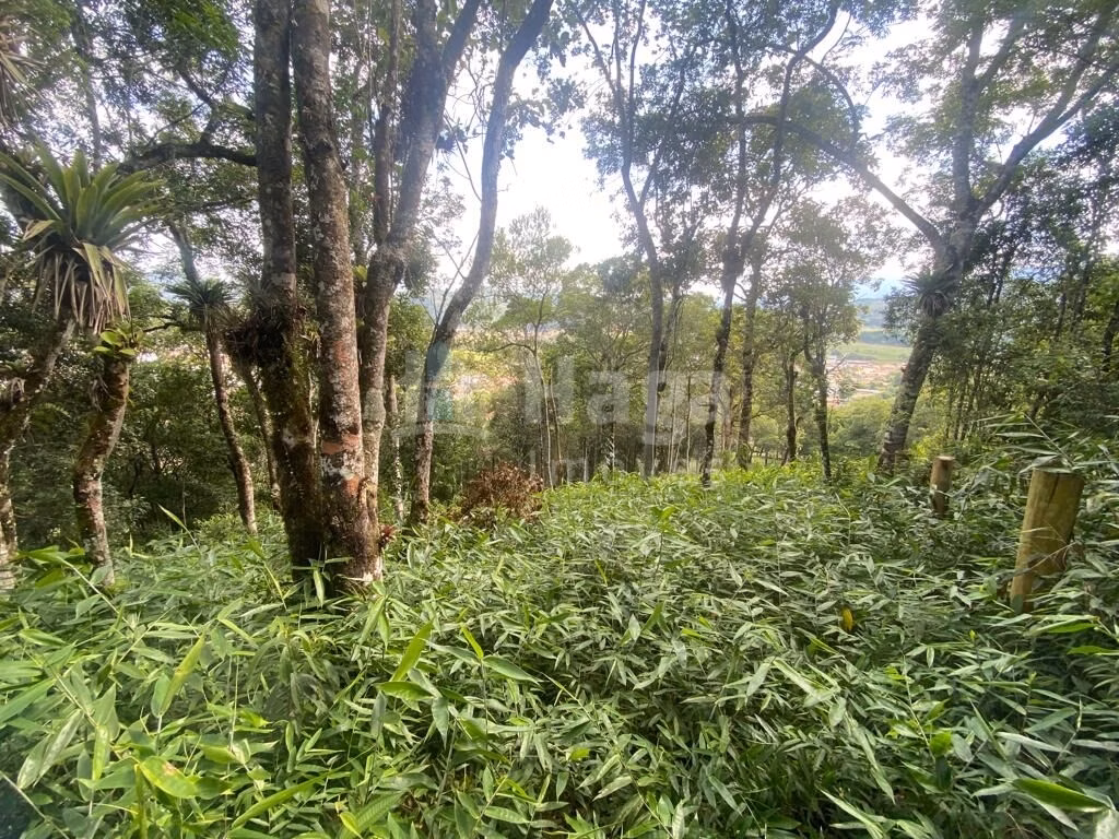 Fazenda de 1 ha em São João Batista, SC