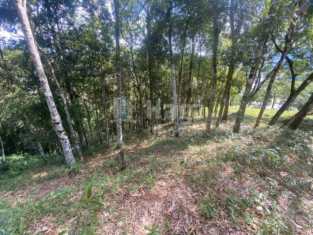 Fazenda de 1 ha em São João Batista, SC