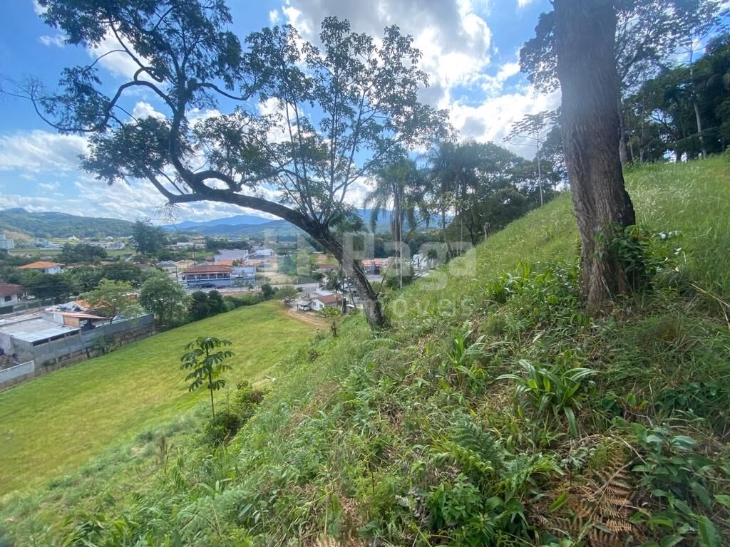 Fazenda de 1 ha em São João Batista, SC