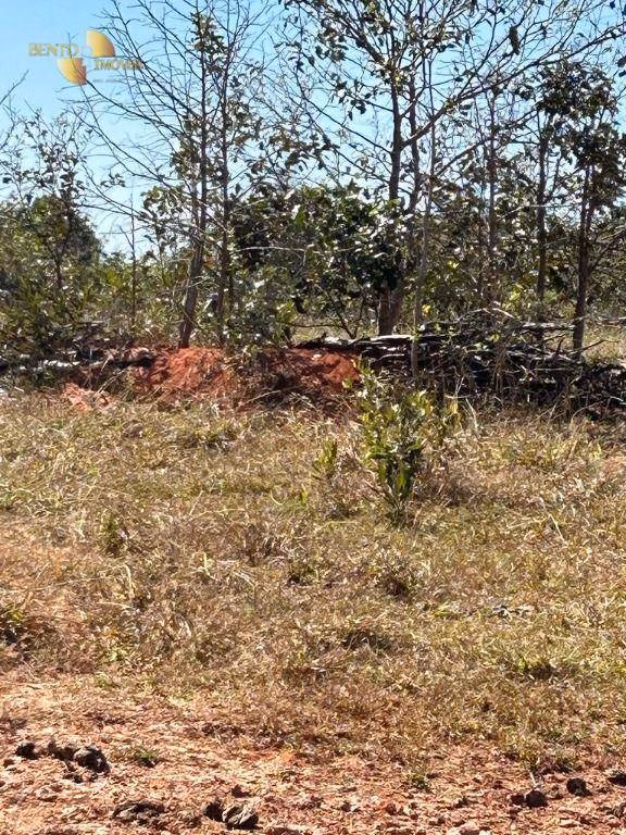 Fazenda de 4.950 ha em Barra do Garças, MT