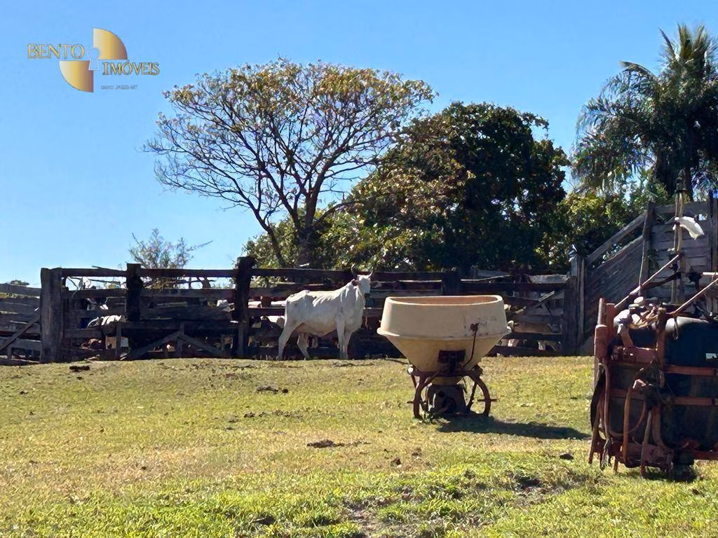 Fazenda de 4.950 ha em Barra do Garças, MT
