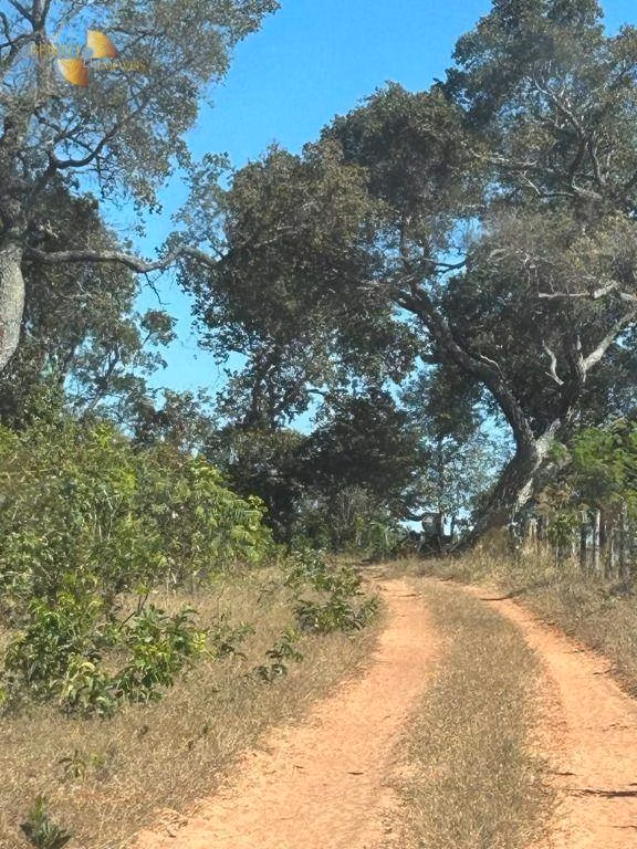 Fazenda de 4.950 ha em Barra do Garças, MT