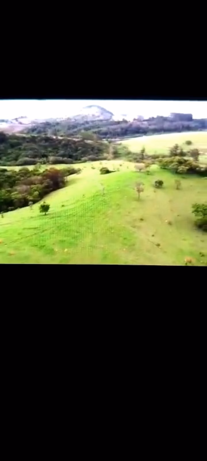 Fazenda de 232 ha em Ouro Fino, MG