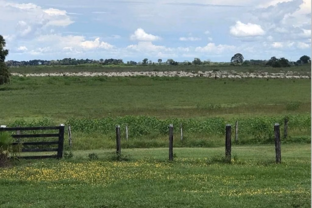 Fazenda de 18.700 ha em Poconé, MT