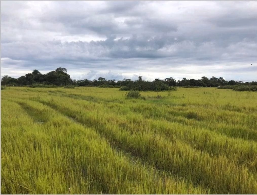 Fazenda de 18.700 ha em Poconé, MT
