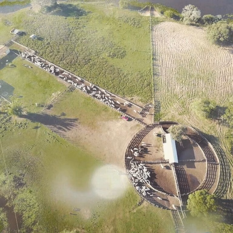 Fazenda de 18.700 ha em Poconé, MT
