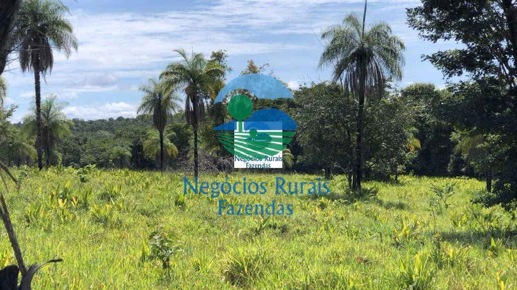 Fazenda de 396 ha em Campinorte, GO