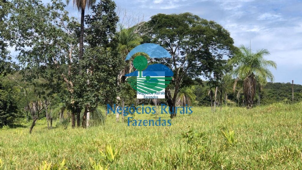 Fazenda de 396 ha em Campinorte, GO