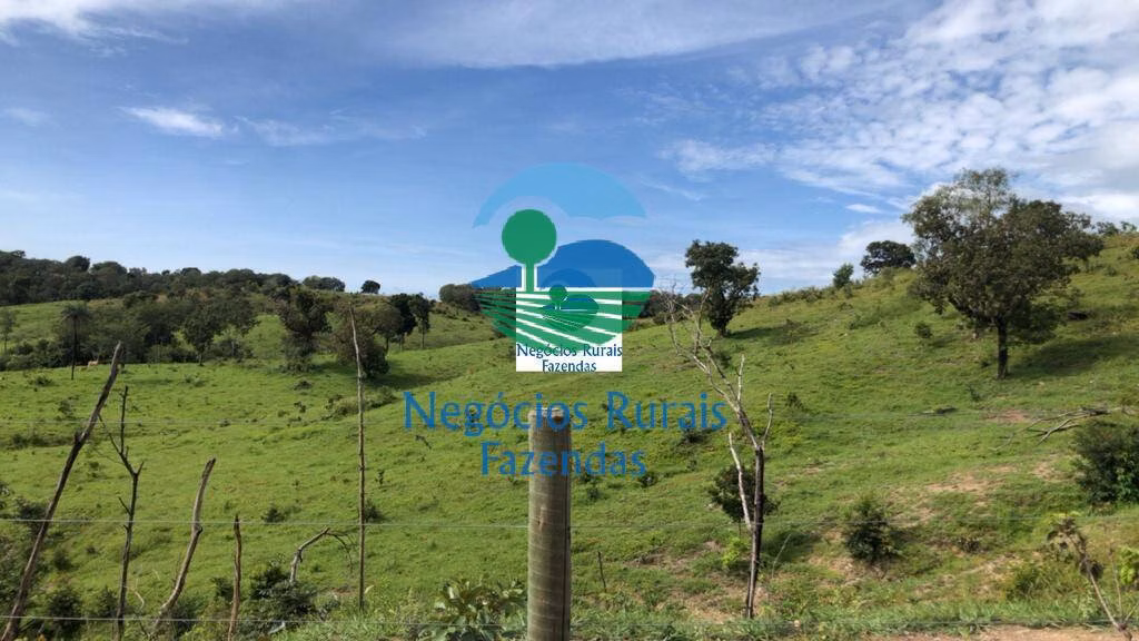 Fazenda de 396 ha em Campinorte, GO