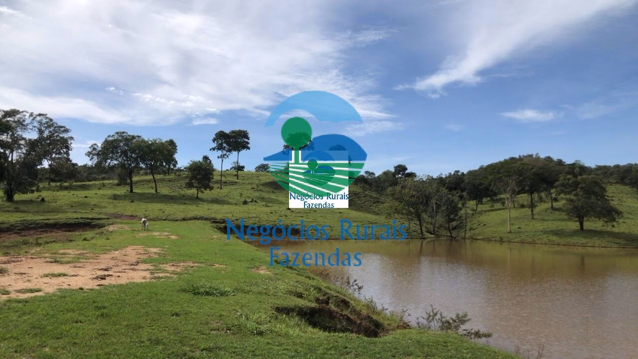 Fazenda de 396 ha em Campinorte, GO