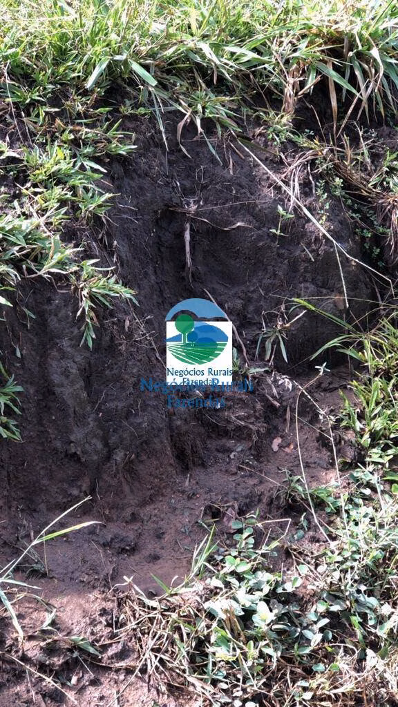Fazenda de 396 ha em Campinorte, GO