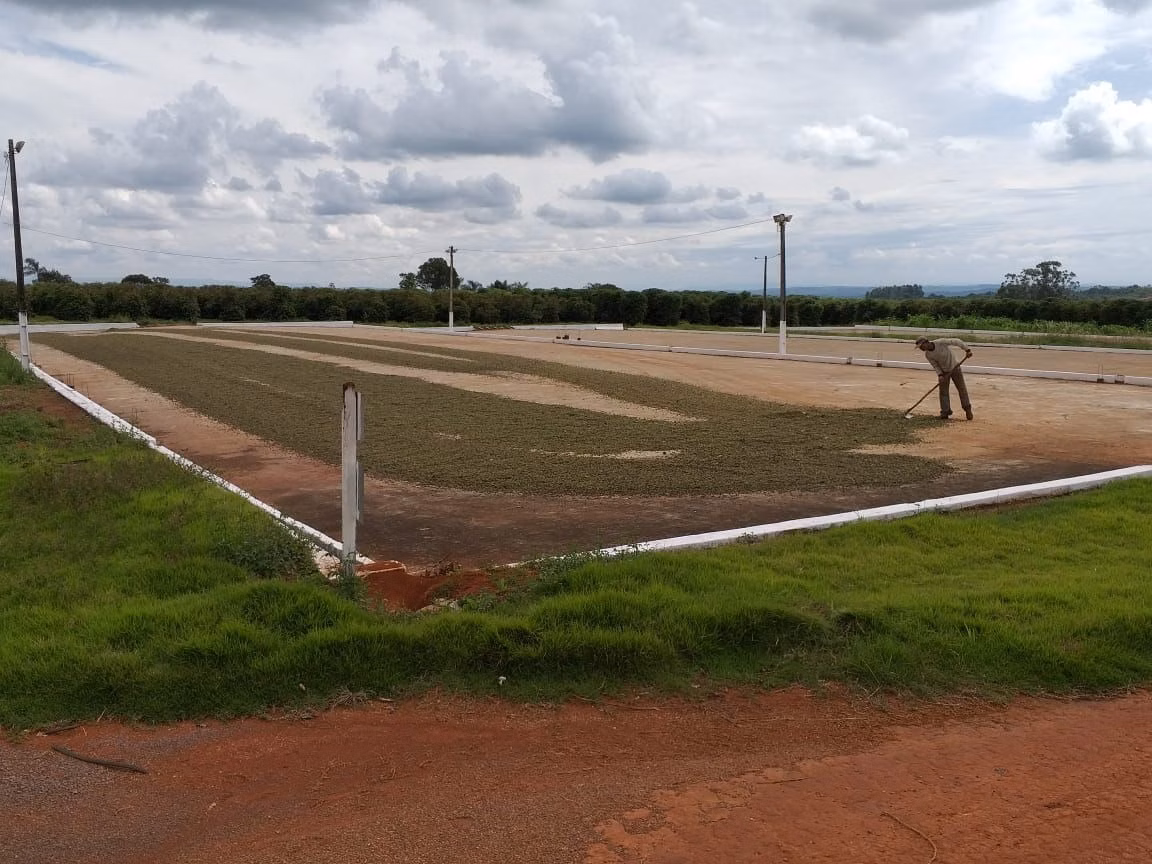 Farm of 359 acres in Piumhi, MG, Brazil