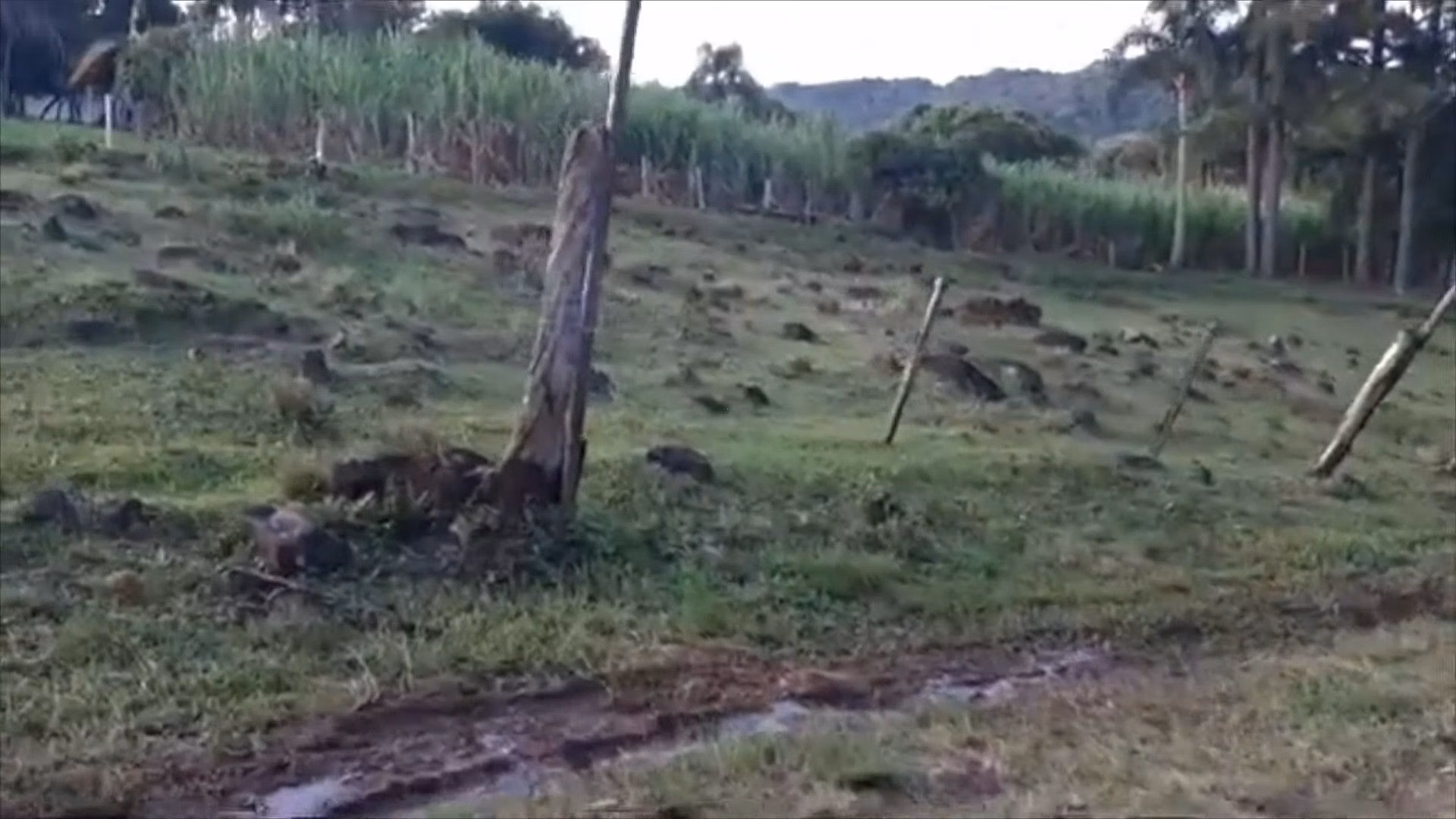 Country home of 2,000 m² in Parobé, RS, Brazil